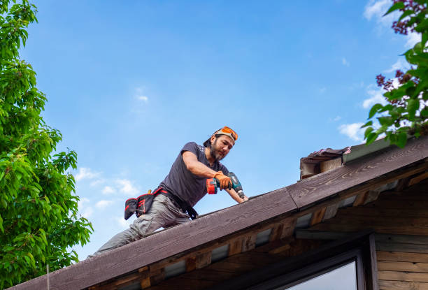 Best Skylight Installation and Repair  in Barnum Island, NY